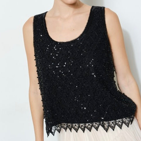 Glitter Embroidered Top